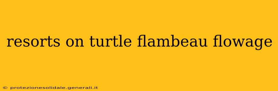 resorts on turtle flambeau flowage