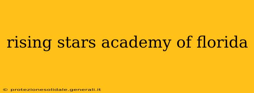 rising stars academy of florida