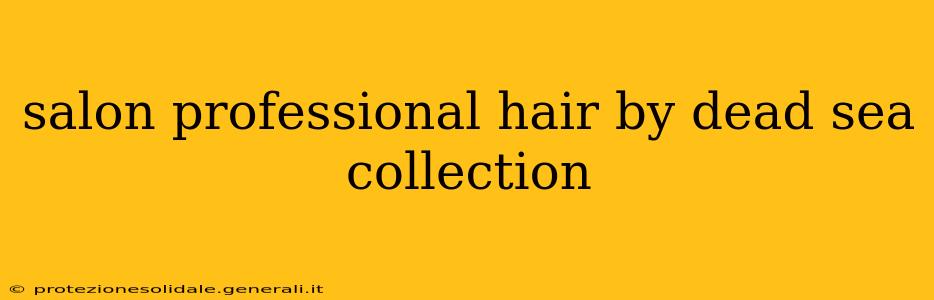 salon professional hair by dead sea collection