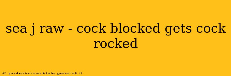 sea j raw - cock blocked gets cock rocked sea j raw - cock blocked gets cock rocked