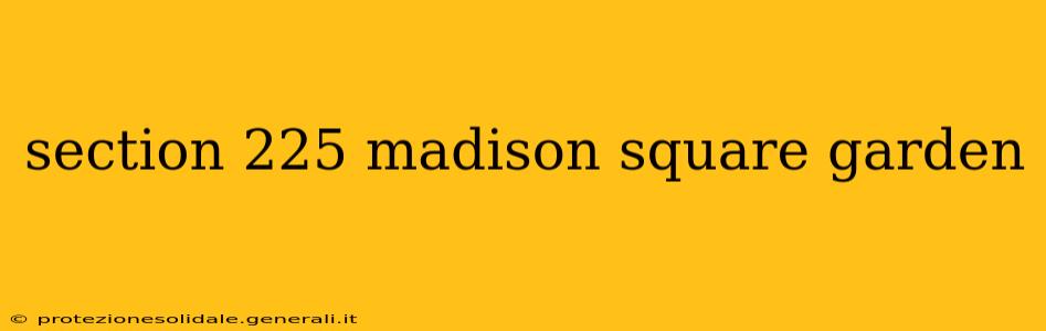 section 225 madison square garden