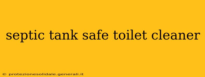 septic tank safe toilet cleaner