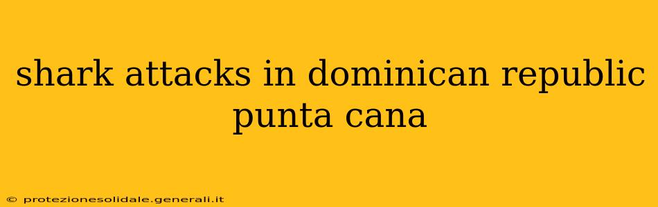 shark attacks in dominican republic punta cana