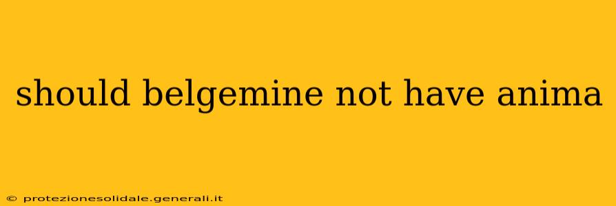 should belgemine not have anima