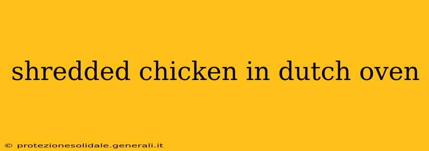 shredded chicken in dutch oven
