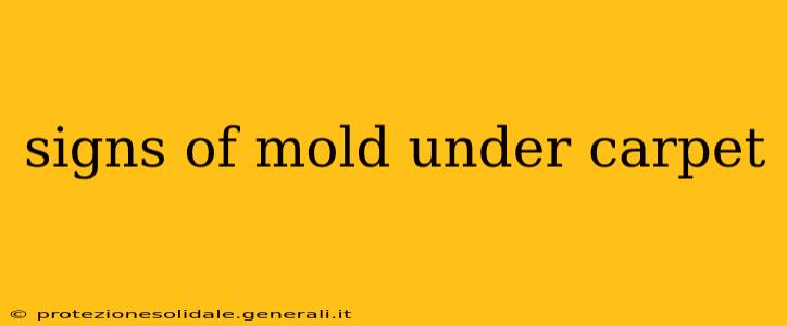 signs of mold under carpet