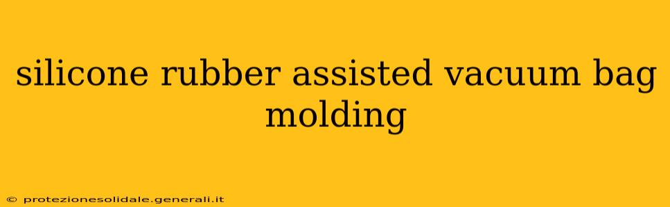 silicone rubber assisted vacuum bag molding