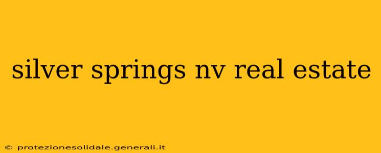silver springs nv real estate