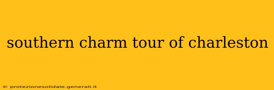 southern charm tour of charleston