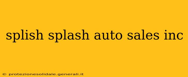 splish splash auto sales inc