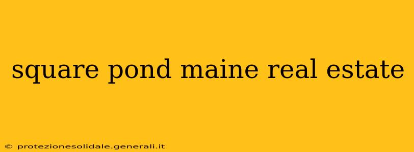 square pond maine real estate