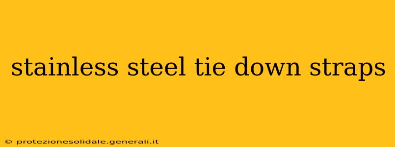 stainless steel tie down straps