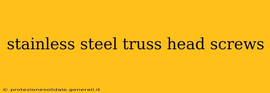 stainless steel truss head screws