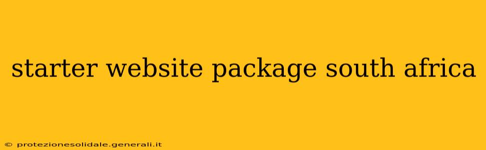 starter website package south africa