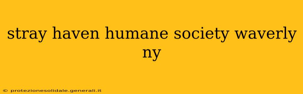 stray haven humane society waverly ny