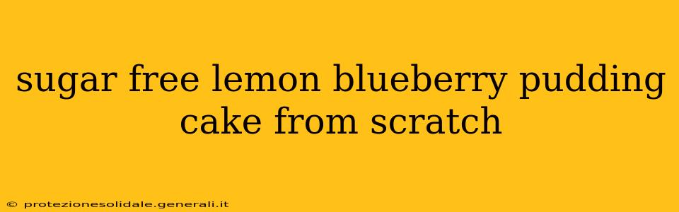 sugar free lemon blueberry pudding cake from scratch