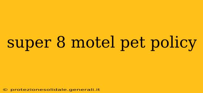 super 8 motel pet policy
