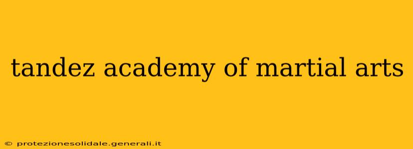 tandez academy of martial arts