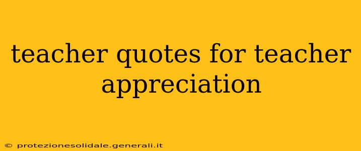 teacher quotes for teacher appreciation