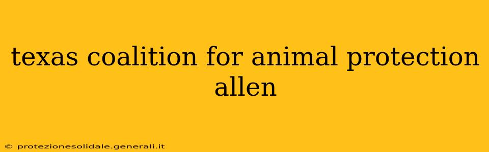 texas coalition for animal protection allen