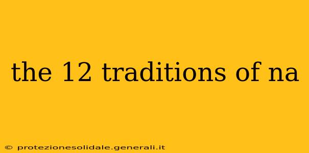 the 12 traditions of na