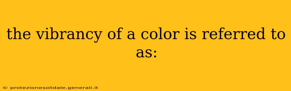 the vibrancy of a color is referred to as:
