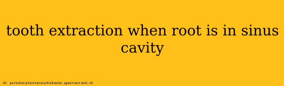 tooth extraction when root is in sinus cavity