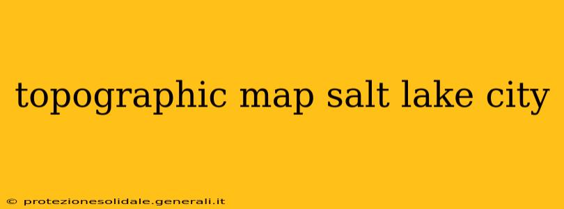 topographic map salt lake city