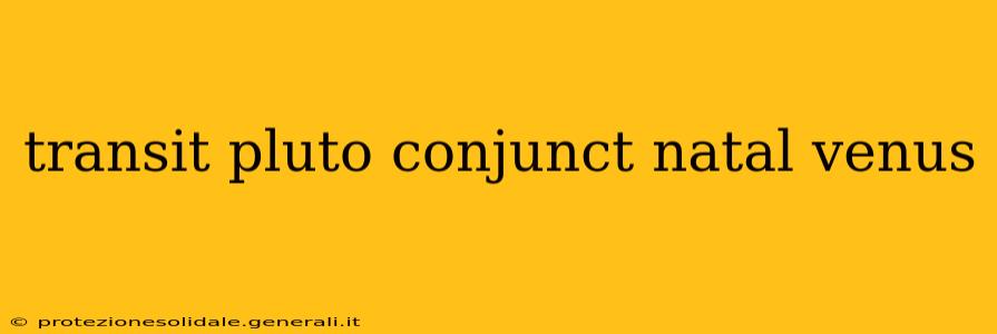 transit pluto conjunct natal venus