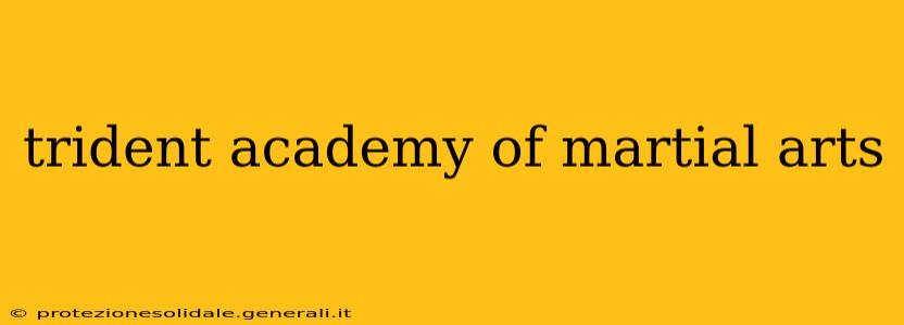 trident academy of martial arts
