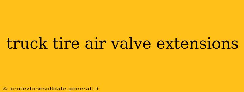 truck tire air valve extensions