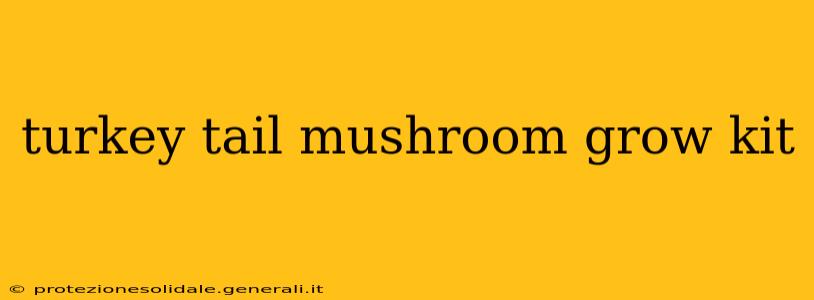 turkey tail mushroom grow kit
