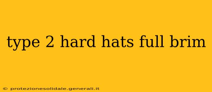 type 2 hard hats full brim