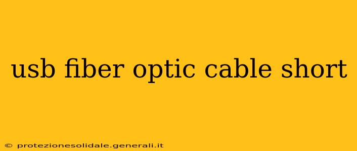 usb fiber optic cable short