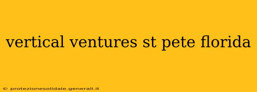 vertical ventures st pete florida