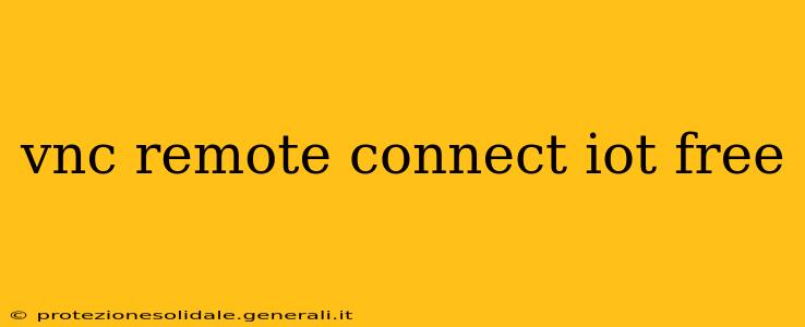 vnc remote connect iot free