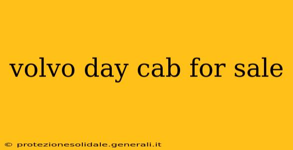 volvo day cab for sale