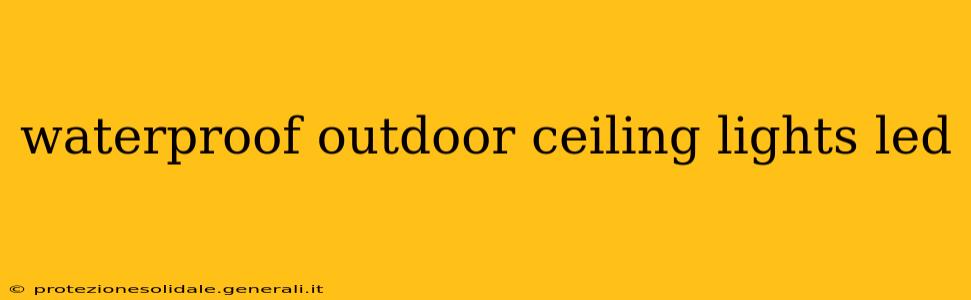 waterproof outdoor ceiling lights led