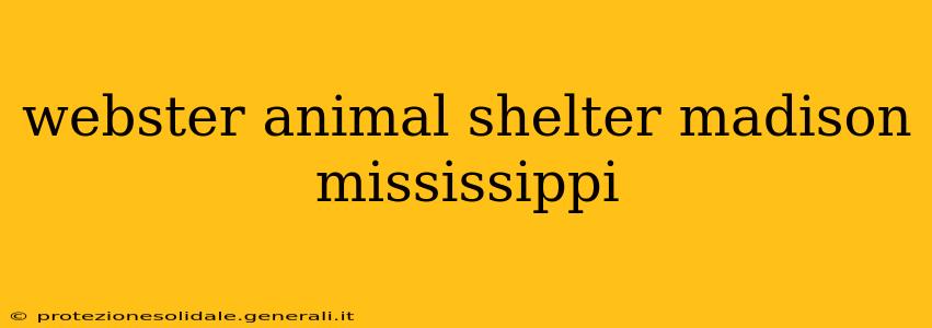 webster animal shelter madison mississippi