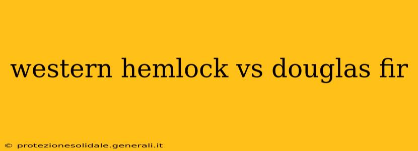 western hemlock vs douglas fir