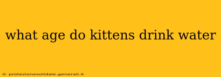 what age do kittens drink water