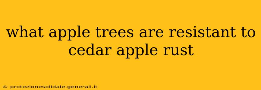 what apple trees are resistant to cedar apple rust