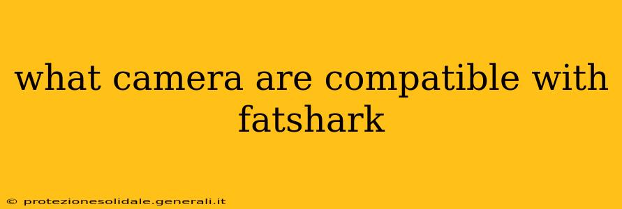 what camera are compatible with fatshark