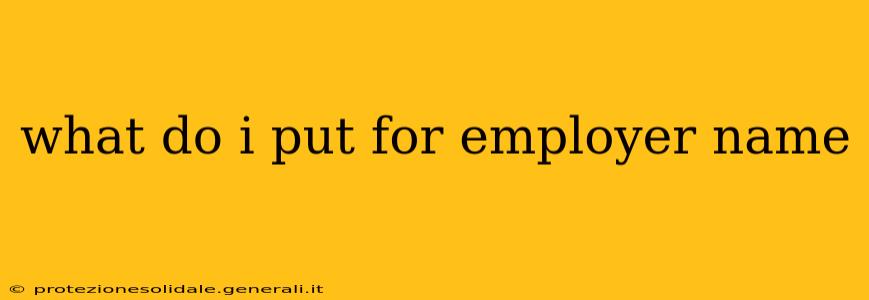 what do i put for employer name