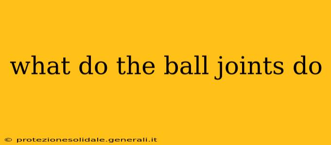 what do the ball joints do