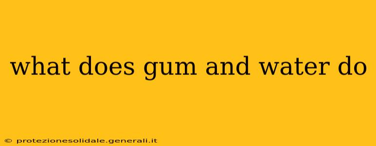 what does gum and water do