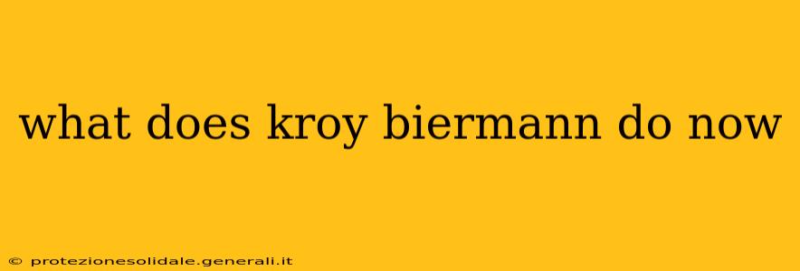 what does kroy biermann do now