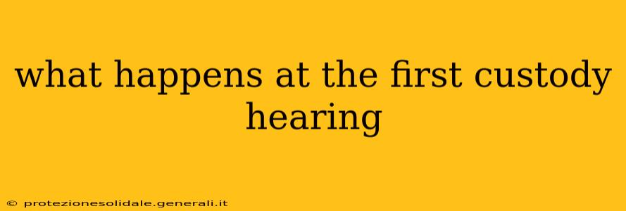 what happens at the first custody hearing