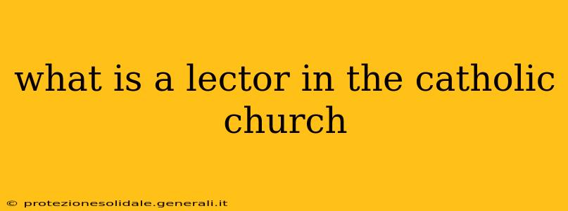 what is a lector in the catholic church