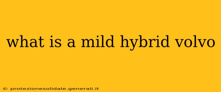 what is a mild hybrid volvo